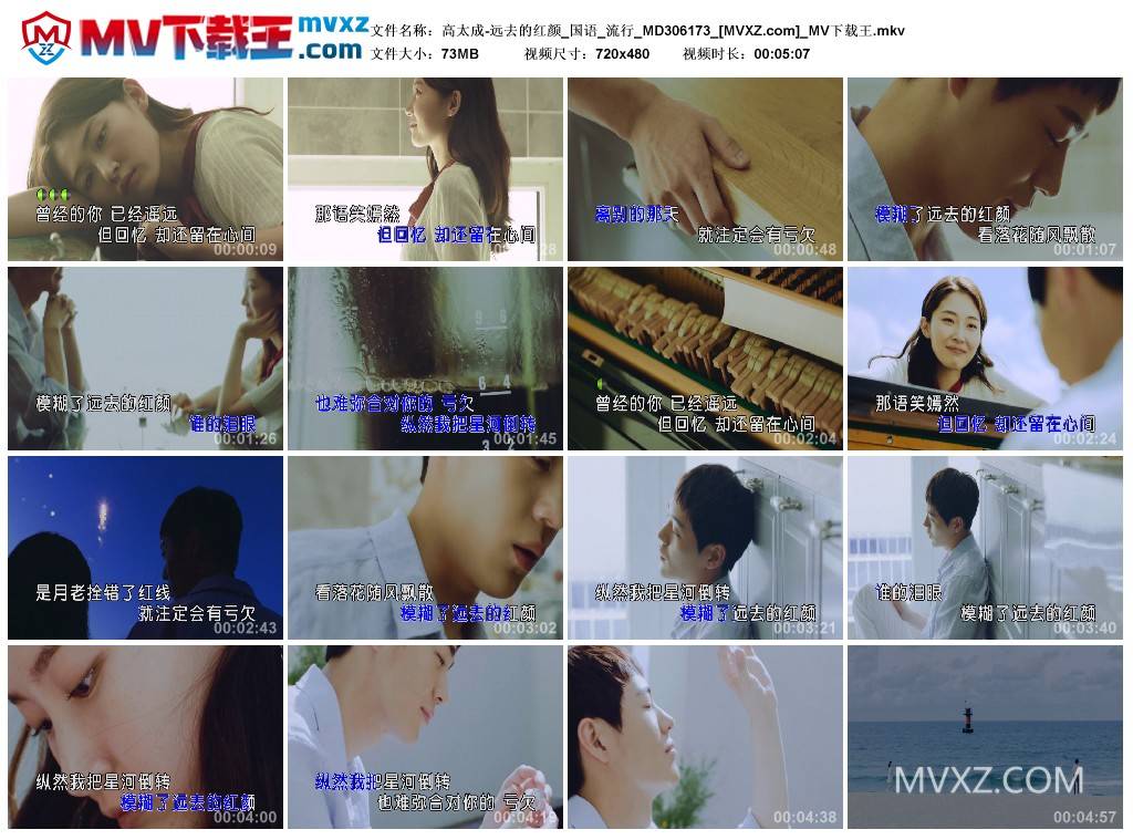 高太成-远去的红颜_国语_流行_MD306173